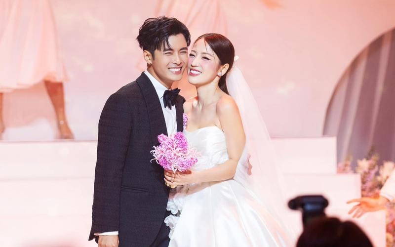 Đàm Vĩnh Hưng mở lời xin hát ở đám cưới Puka - Gin Tuấn Kiệt, CĐM ngỡ ngàng với lý do thật sự - Hình 1