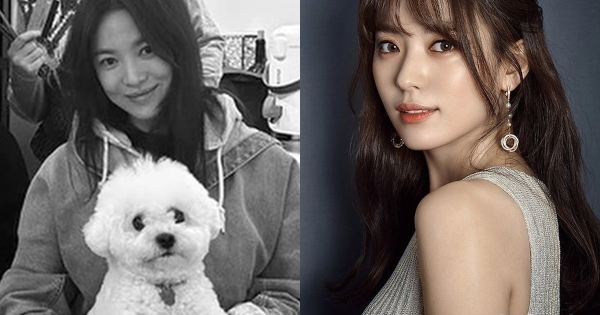 Song Hye Kyo kém sắc trong tiệc sinh nhật bạn thân, bị đàn em ngang nhiên vượt mặt tận 2 lần - Hình 8
