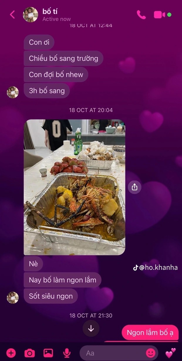Con gái Hồ Hoài Anh tung loạt tin nhắn với bố, chỉ một khoảnh khắc biết được tình cảm bố con thế nào - Hình 7