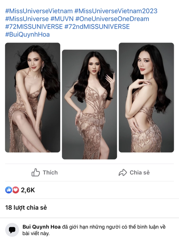 Bùi Quỳnh Hoa trượt Top 20 Miss Universe netizen vui như trẩy hội, biểu cảm trên sân khấu gây chú ý - Hình 6