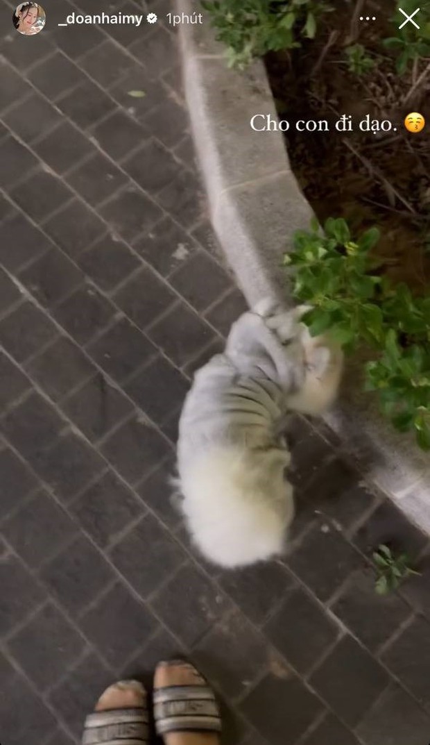 Doãn Hải My có động thái gây chú ý hậu nghi vấn đi khám thai, clip 2 phút đủ làm dân tình bấn loạn - Hình 2