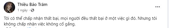Sơn Tùng - Hải Tú lộ hint sắp cưới, Thiều Bảo Trâm đăng đàn tự trách bản thân là kẻ thất bại? - Hình 2