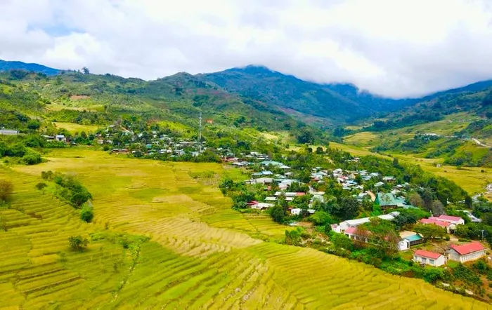Đẹp ngỡ ngàng mùa lúa chín ở Măng Ri - Hình 7