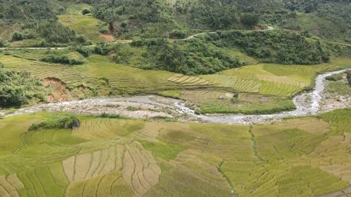 Đẹp ngỡ ngàng mùa lúa chín ở Măng Ri - Hình 3
