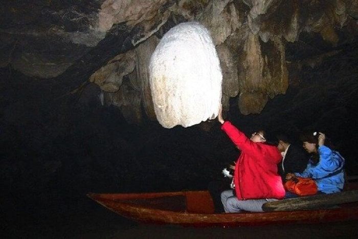 Vườn chim Thung Nham có gì đặc biệt? - Hình 1