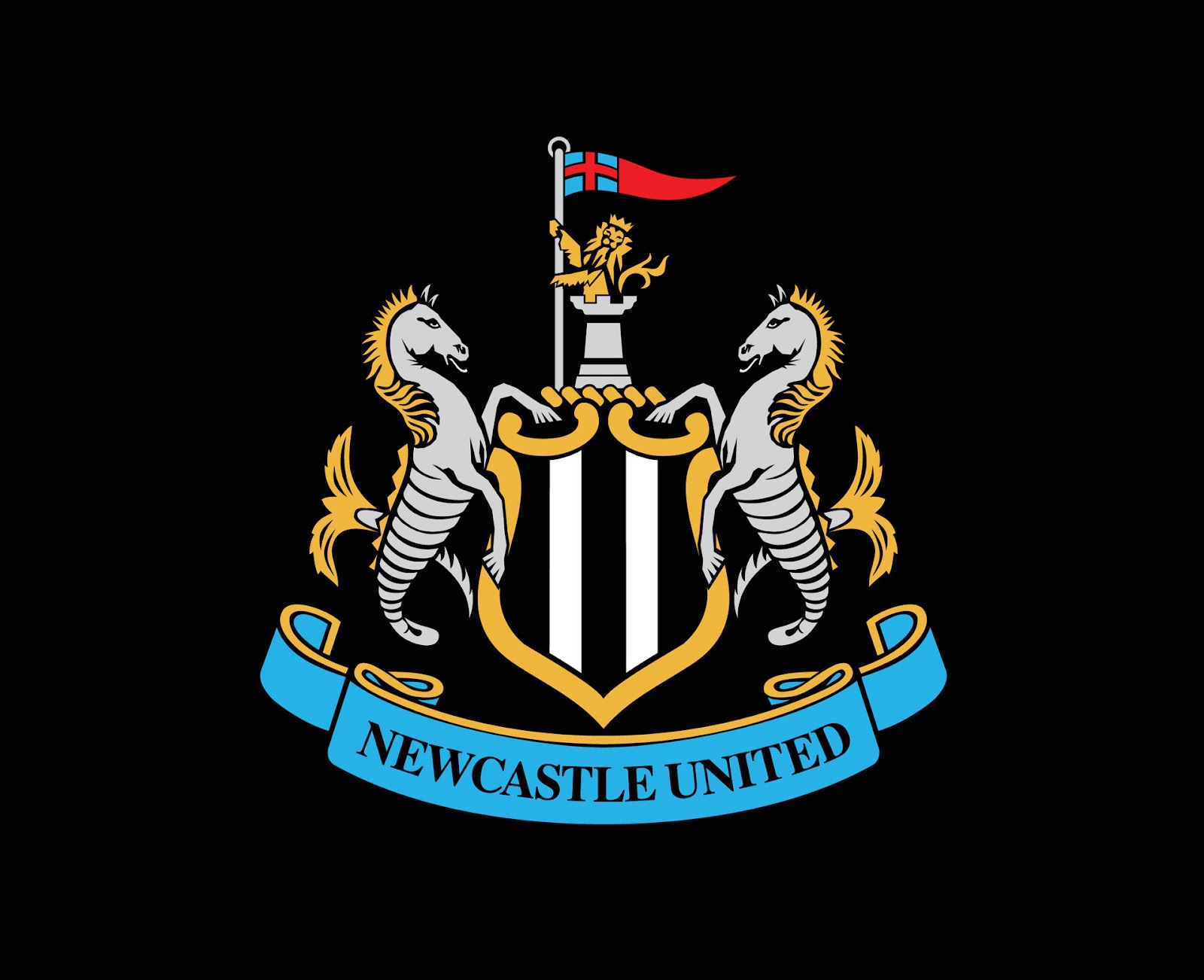 Khám phá CLB Newcastle United và những kỷ lục sân cỏ - Hình 3