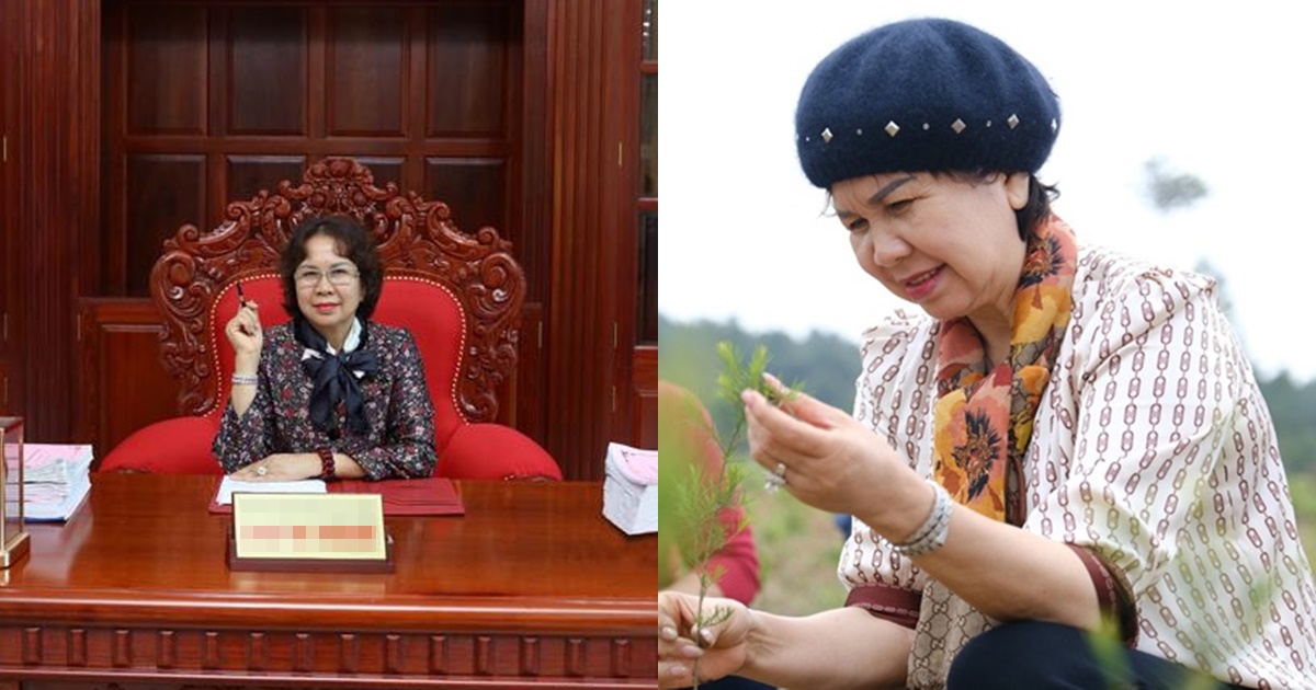 Mẹ ruột đại gia kim cương từng dính ồn ào với Hà Hồ bị tạm hoãn xuất cảnh, lý do vì sao? - Hình 7