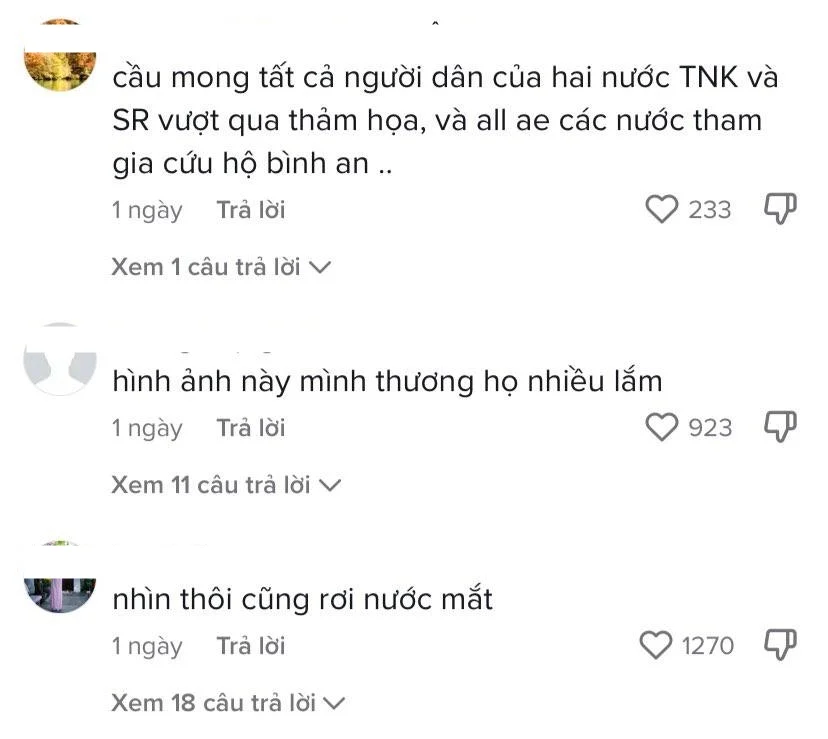 Sự thật clip người dân Thổ Nhĩ Kỳ quỳ gối đón đoàn xe viện trợ Việt Nam gây bức xúc - Hình 4