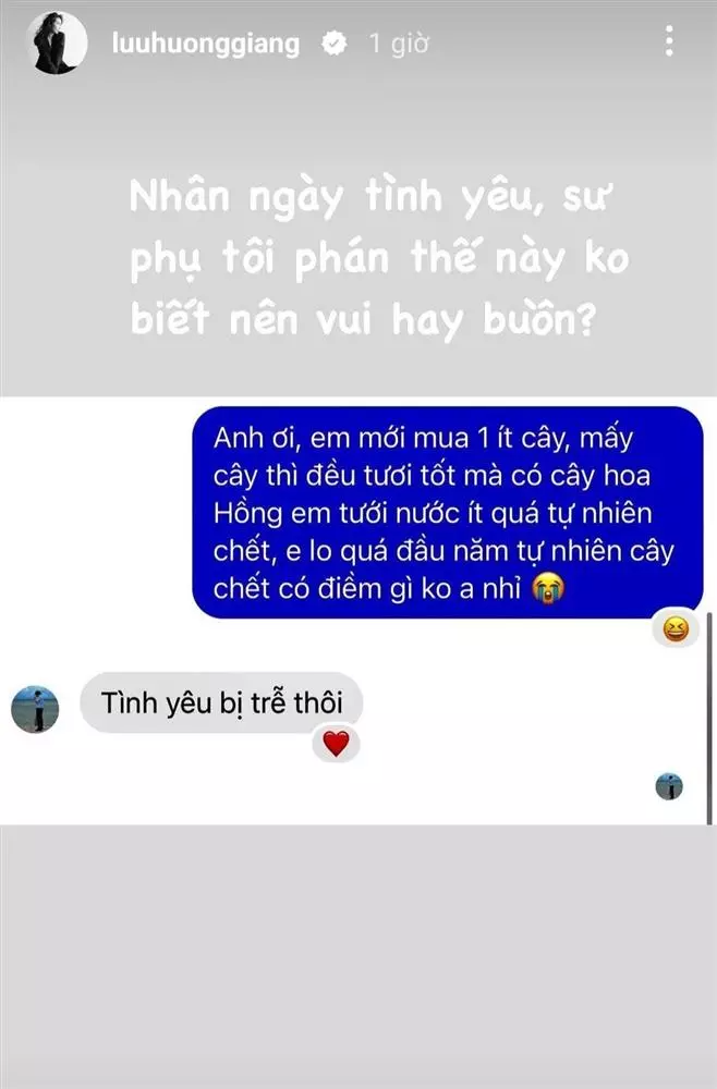 Lưu Hương Giang ẩn ý tha thứ cho Hồ Hoài Anh hậu ồn ào ở Tây Ban Nha - Hình 2