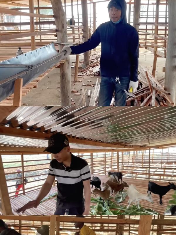 Quang Linh hý hửng ra mặt vì sắp đón người phụ nữ đặc biệt ghé thăm, Thùy Tiên báo tin vui cho fan - Hình 8