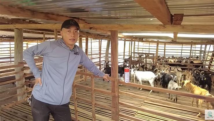 Quang Linh hý hửng ra mặt vì sắp đón người phụ nữ đặc biệt ghé thăm, Thùy Tiên báo tin vui cho fan - Hình 6