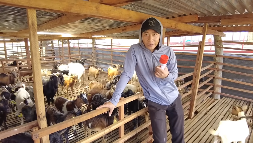Quang Linh hý hửng ra mặt vì sắp đón người phụ nữ đặc biệt ghé thăm, Thùy Tiên báo tin vui cho fan - Hình 1