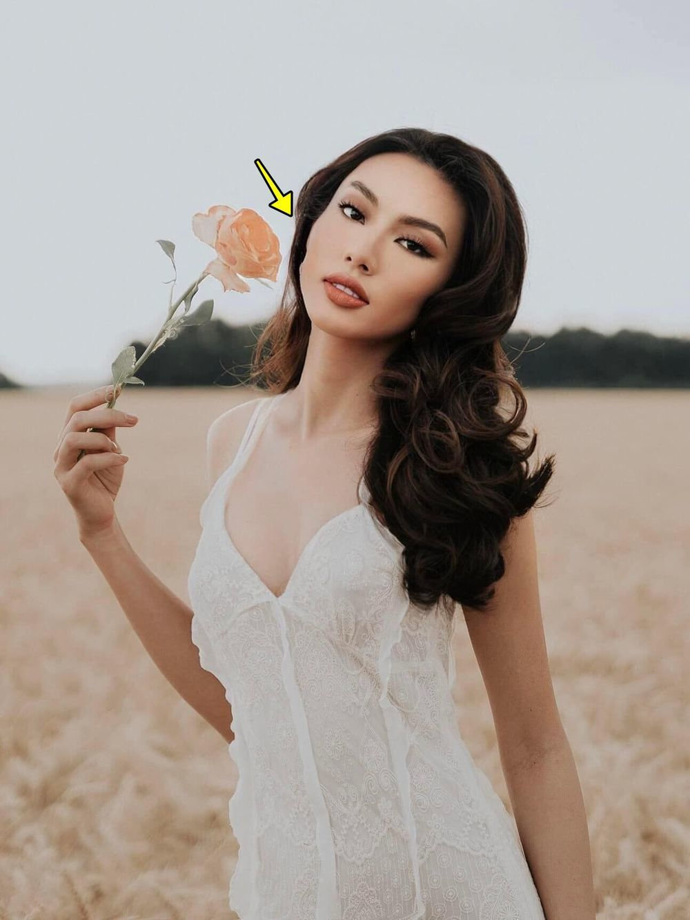 Thùy Tiên mắc 1 sai lầm nghiêm trong giống Ngọc Châu, Thanh Thanh Huyền, fan sắc đẹp khó bỏ qua! - Hình 3