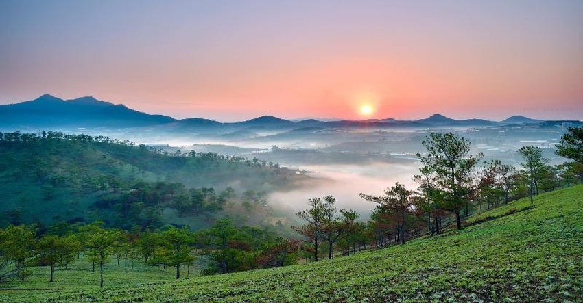 Chủ khách sạn tại Đà Lạt bị tố miệt thị, phân biệt người gốc Hoa: Chính quyền vào cuộc? - Hình 5
