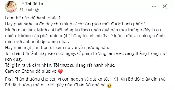 Lê Bê La bận quay phim nên để chồng giữ con riêng, chuyện gì xảy ra mà phải lên MXH đăng đàn? - Hình 2