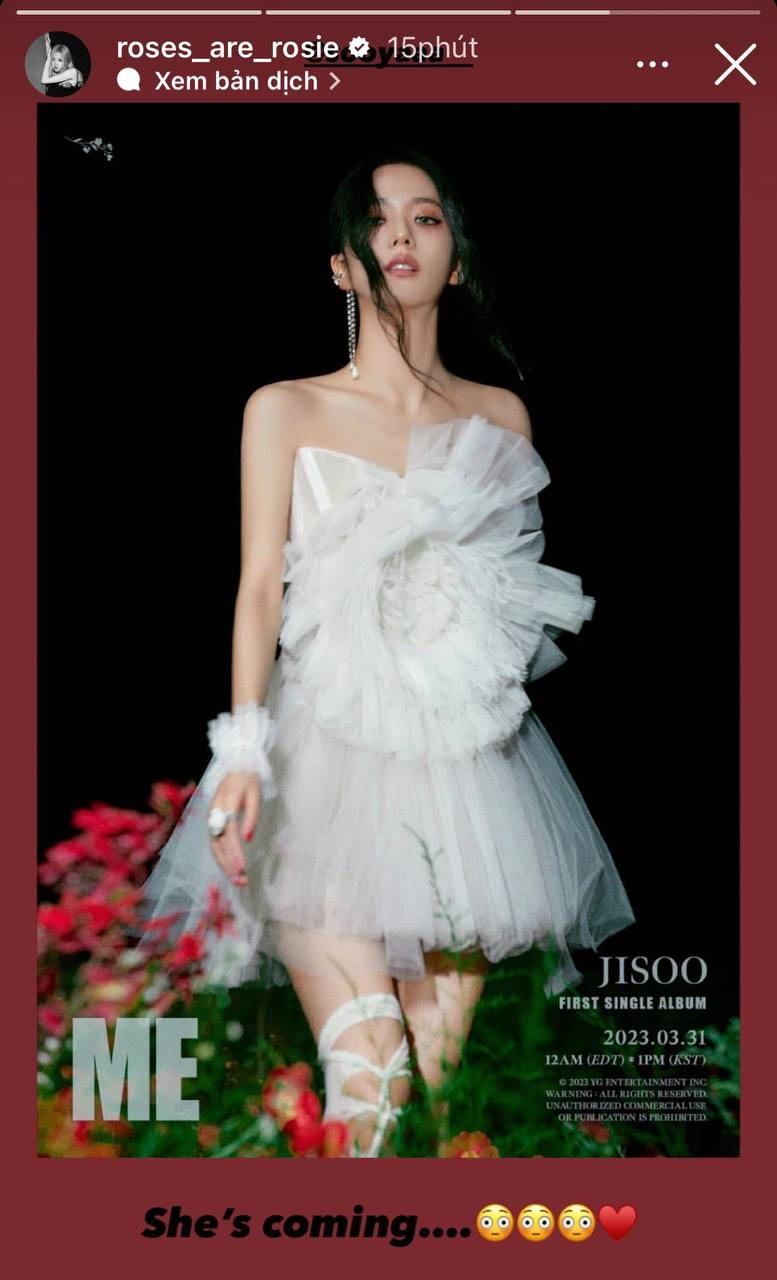 Jennie - Lisa bị tố vô tâm với Jisoo, Rosé gặp nạn vẫn làm điều ý nghĩa cho chị cả, được khen nức nở - Hình 5