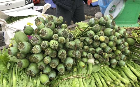 Độc lạ tài xế xe công nghệ mang 5kg cây thuốc cấm ra cổng trường đại học bán như rau tại Hà Nội - Hình 3