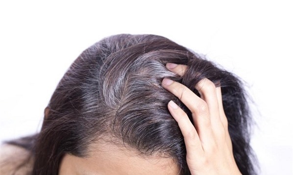 Tác hại không ngờ của việc nhổ tóc bạc - Hình 1