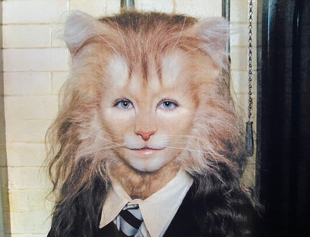 What a trick: Hermione the cat in Harry Potter is not Emma Watson, behind the mask is an equally beautiful beauty - Picture 2