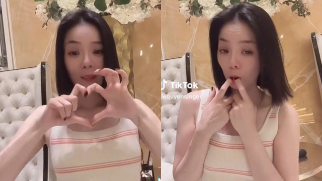 Lệ Quyên báo tin buồn giữa lúc bị tẩy chay vì phát ngôn, làm 1 việc ngỡ ngàng khi bị so với Hà Hồ? - Hình 10
