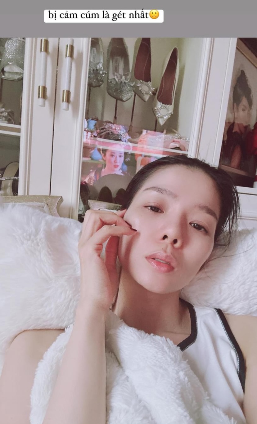 Lệ Quyên báo tin buồn giữa lúc bị tẩy chay vì phát ngôn, làm 1 việc ngỡ ngàng khi bị so với Hà Hồ? - Hình 4