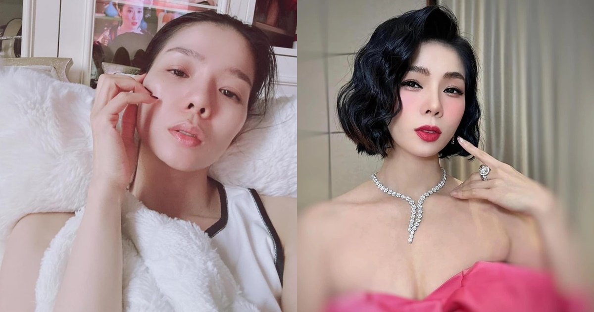 Lệ Quyên báo tin buồn giữa lúc bị tẩy chay vì phát ngôn, làm 1 việc ngỡ ngàng khi bị so với Hà Hồ? - Hình 12