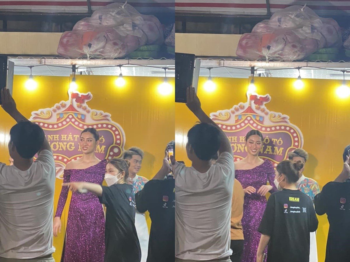 Lương Thuỳ Linh bỏ làm hoa hậu, chuyển nghề đi hát lô tô: Team qua đường bóc trần nhan sắc thật - Hình 3