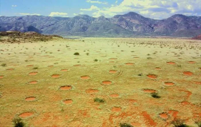 Sự thật về vòng tròn ‘trên trời rơi xuống’ ở Namibia khiến các nhà khoa học đau đầu suốt 5 thập kỷ Su-that-ve-vong-tron-tren-troi-roi-xuong-o-namibia-khien-cac-nha-khoa-hoc-dau-dau-suot-5-thap-ky-7d0-6887849