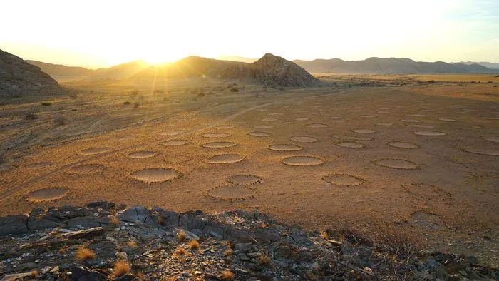 Sự thật về vòng tròn ‘trên trời rơi xuống’ ở Namibia khiến các nhà khoa học đau đầu suốt 5 thập kỷ Su-that-ve-vong-tron-tren-troi-roi-xuong-o-namibia-khien-cac-nha-khoa-hoc-dau-dau-suot-5-thap-ky-929-6887849