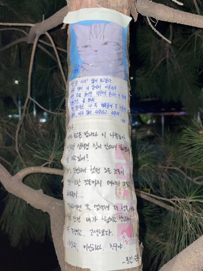 ASTRO và làng Kbiz đồng loạt gửi lời nhắn nhủ đặc biệt đến Moonbin: Hứa cả đời chăm lo cho Moon Sua - Hình 5