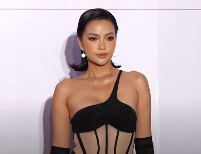 Lý Hải chơi lớn, trải siêu thảm đỏ đón Đàm Vĩnh Hưng và dàn sao Việt, Trấn Thành phủ nhận 1 chuyện - Hình 18