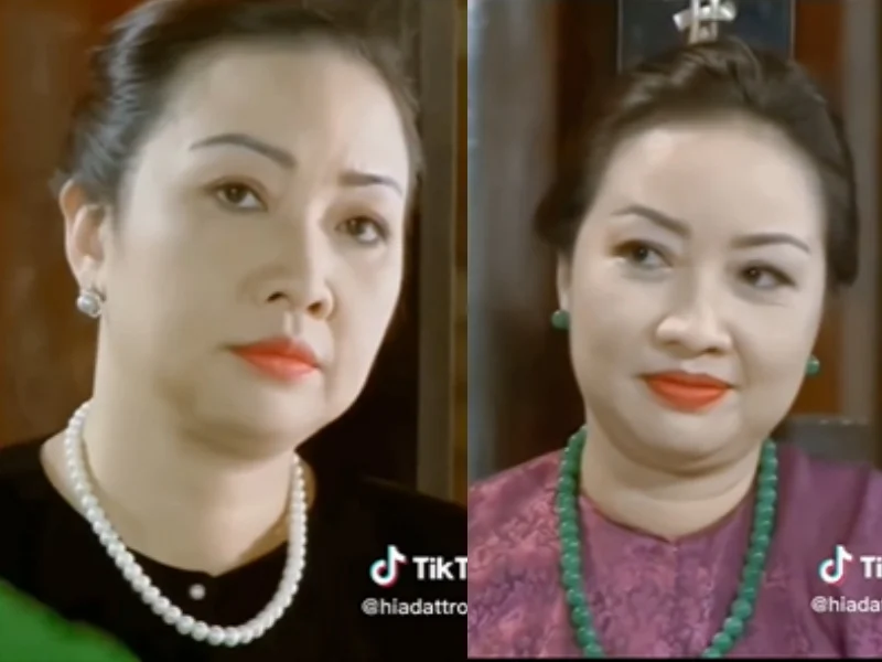 Thiên Hương - Bà hội đồng của làng phim Việt: Xin đạo diễn hết hơi vẫn không được đóng vai nghèo - Hình 5