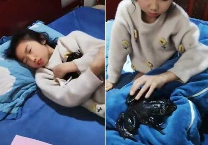 Nghe tiếng động lạ trong phòng con gái, kiểm tra phát hiện điều rợn người - Hình 1