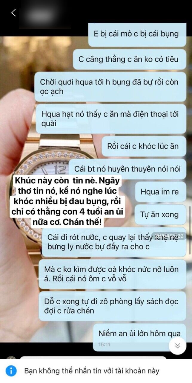 Xôn xao người phụ nữ lọt tròng lừa đảo của em trai đại gia, mất trắng 6 tỷ, ngớ người cầu cứu - Hình 6