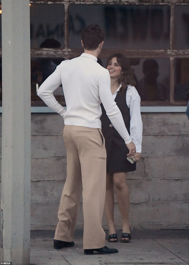 Camila Cabello và Shawn Mendes quay về bên nhau sau 2 năm chia tay - Hình 3