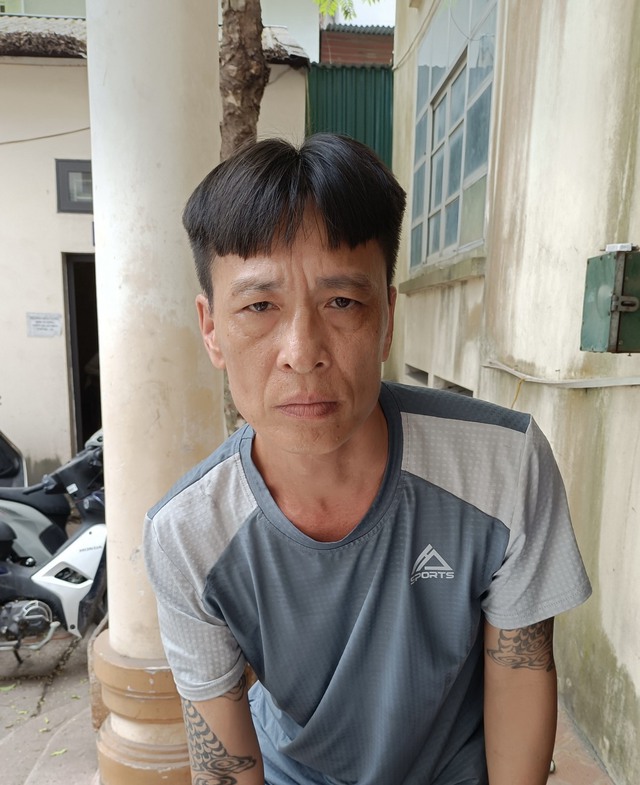 Đâm mẹ vợ 84 tuổi trọng thương vì bị đuổi khỏi nhà - Hình 1