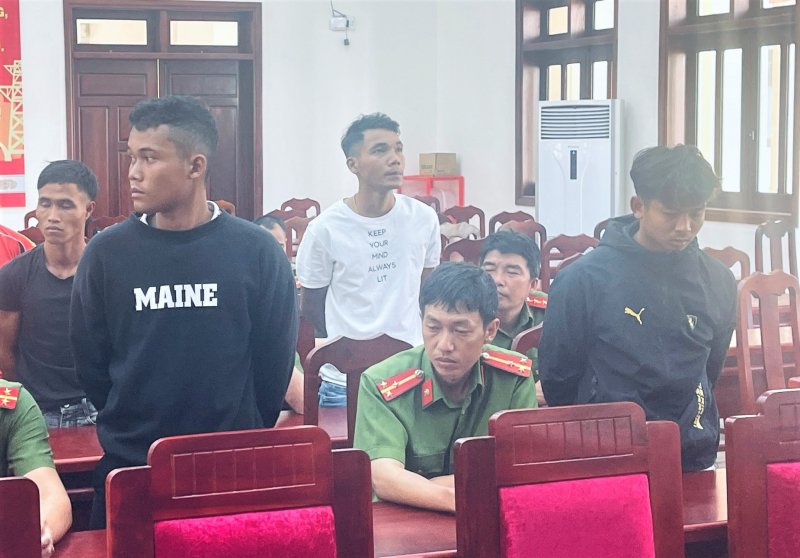 Thêm 9 đối tượng bị khởi tố trong vụ chặt phá tài sản của doanh nghiệp - Hình 1