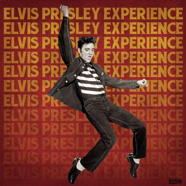 Elvis Presley: Từ cậu bé nghèo đến Ông hoàng nhạc Rock and Roll và bí ẩn về sự ra đi ở tuổi 42 - Hình 3