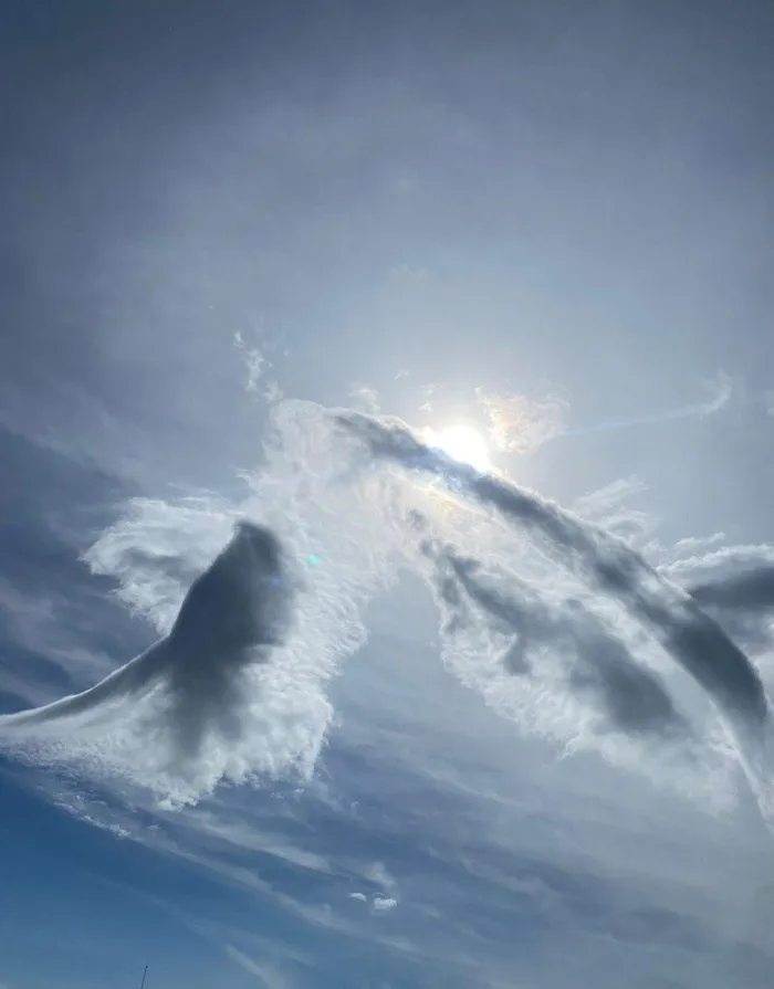 Núi Bà Đen tiếp tục gây bão vì hiện tượng mây Cá chép hóa rồng - Hình 3