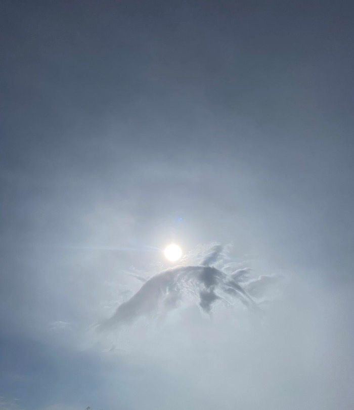Núi Bà Đen tiếp tục gây bão vì hiện tượng mây Cá chép hóa rồng - Hình 1