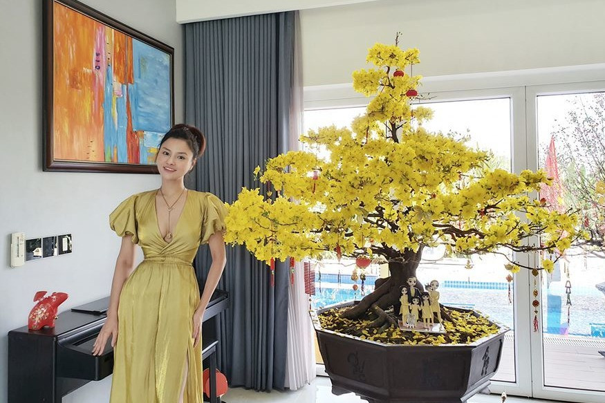 Biệt thự rộng 1300m2 của siêu mẫu Vũ Thu Phương bị trộm đột nhập - Hình 1