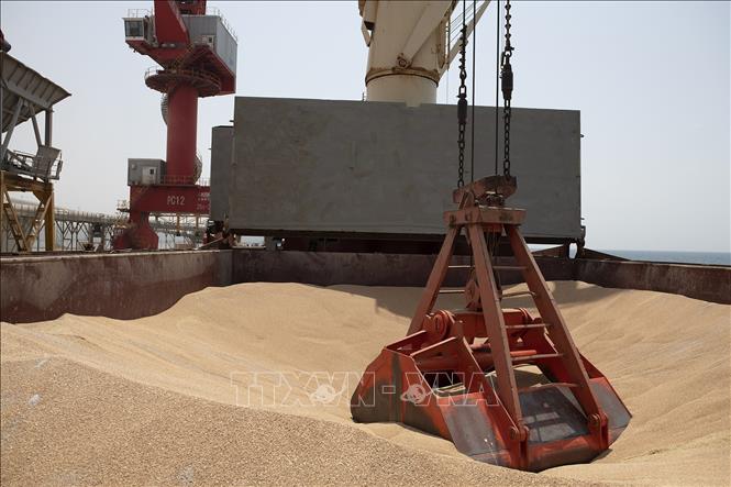Các cuộc kiểm tra tàu thuyền theo thỏa thuận ngũ cốc Biển Đen đã được nối lại - Hình 1