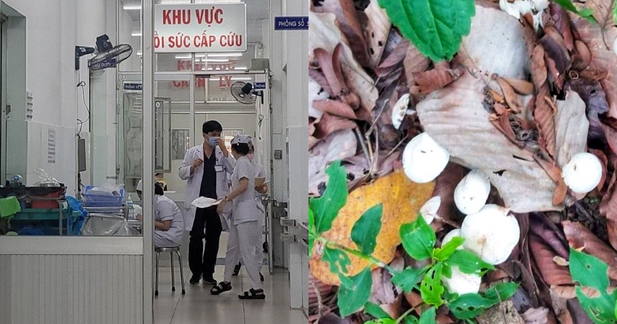 Vụ cả nhà ở Tây Ninh nhập viện sau bữa ăn: Cha đã mất, mẹ hiện nguy kịch, hé lộ bữa cơm định mệnh - Hình 6