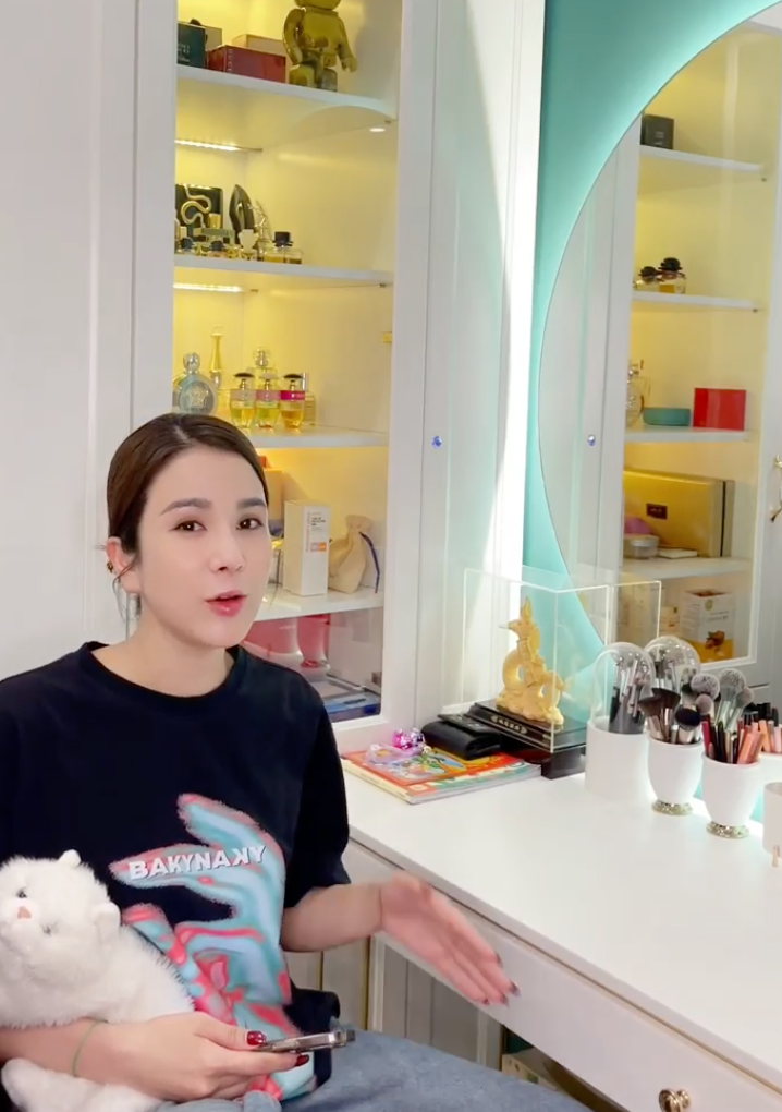 Diệp Lâm Anh tung clip minh oan chuyện ngoại tình, loạt chi tiết vô lý chồng cũ tố bị phanh phui - Hình 8