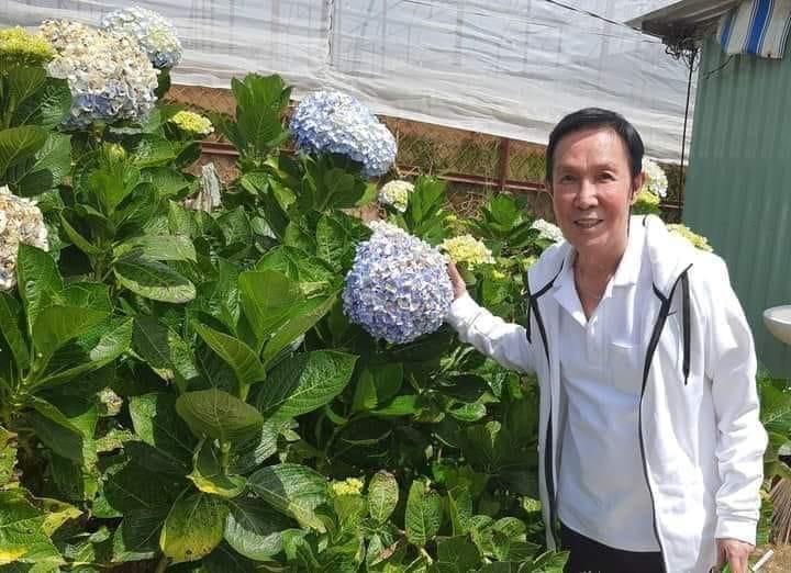 Con gái Vũ Linh nghi bị 1 thế lực bí ẩn hãm hại, mạo danh tên Hồng Loan để lừa đảo, kêu gọi từ thiện - Hình 7