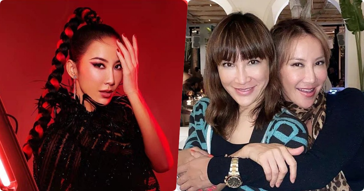 Hai con riêng của Coco Lee phá tang lễ lấy tài sản, chị gái cố NS tức giận ra tay tác động vật lý? - Hình 8