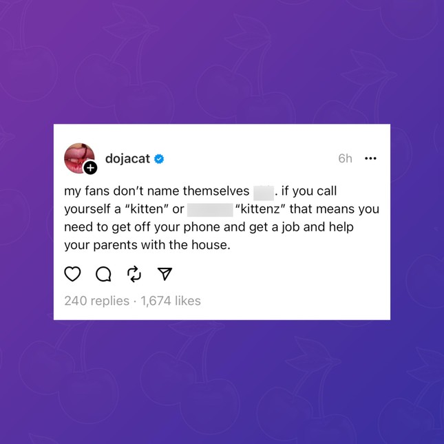 Doja Cat nhận cái kết đắng sau khi hơn thua, tỏ thái độ ngôi sao với fan ruột - Hình 2