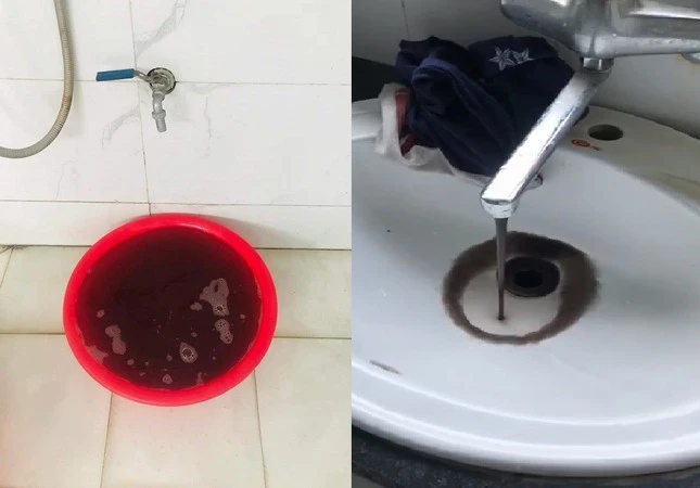 Giáo viên rửa khay ăn của trẻ trên bồn cầu: lãnh đạo trường lên tiếng xin lỗi, liệu có thành thật? - Hình 2