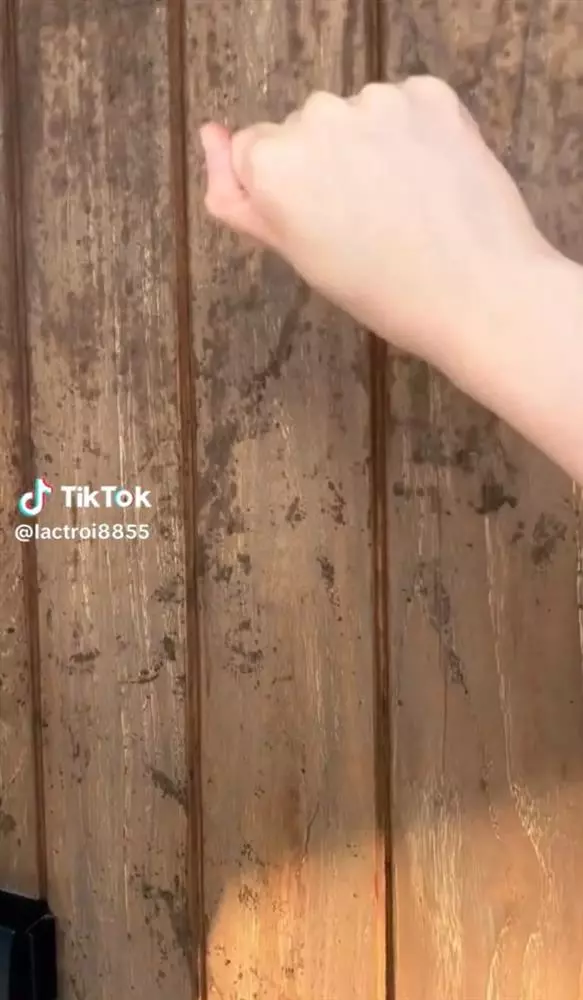 Hải Tú xuất hiện tại sinh nhật Sơn Tùng, nhan sắc khác lạ, thái độ với sếp đáng nghi, đã lên chức? - Hình 5