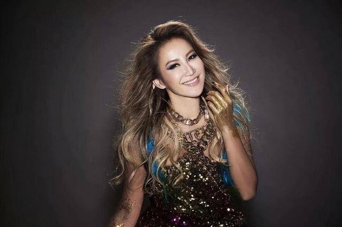 Chồng Coco Lee bày tỏ tình cảm sau khi vợ qua đời khiến dư luận bức xúc - Hình 2